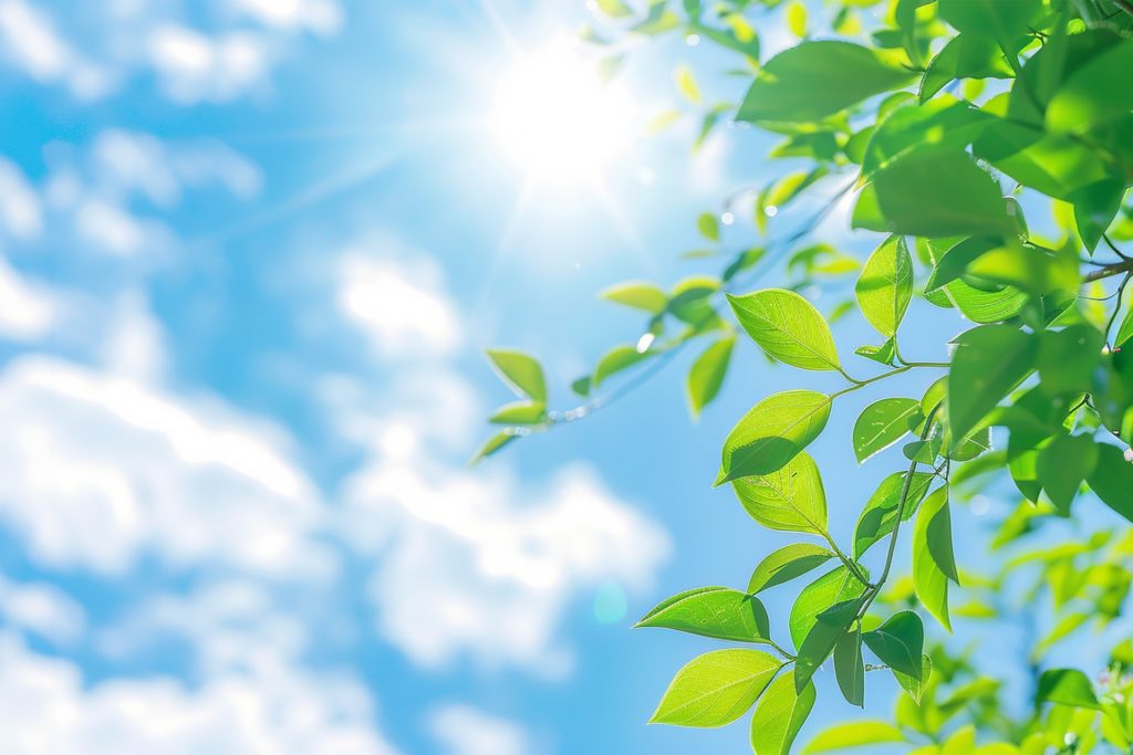 自然光の理解と利用法