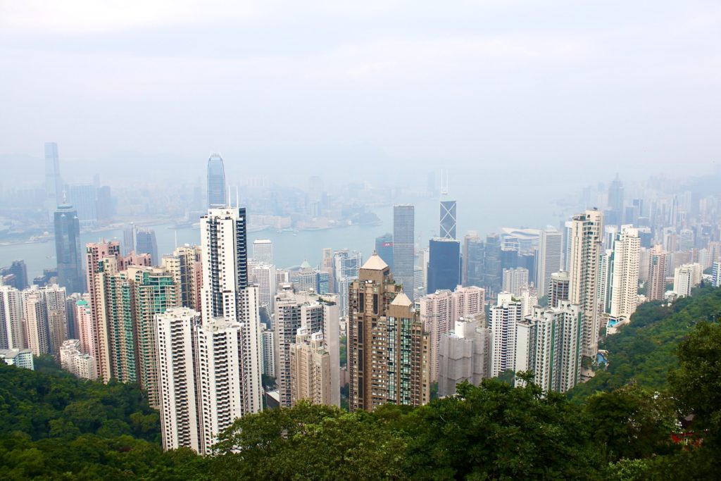 出品者情報の確認と評価